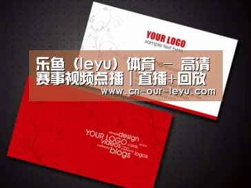 项目名称八