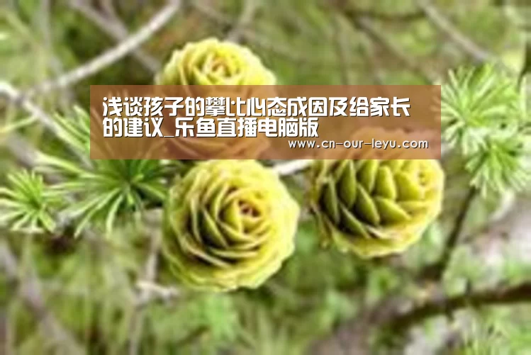乐鱼体育直播官网